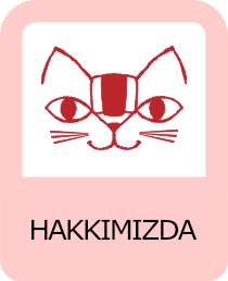 pembe renkli 'hakkimizda' ikonu