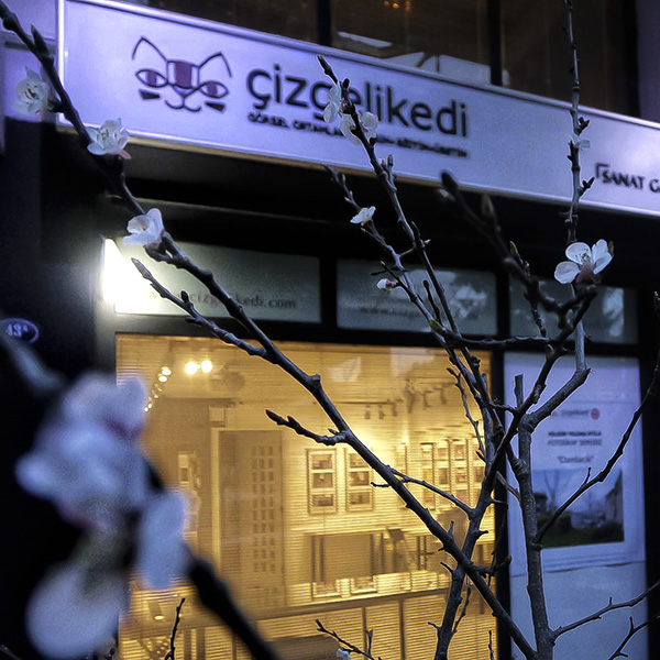 Hava kararmis, fotograf mavi tonlarda, cizgelikedi'nin onunde pembe beyaz cicekler acmis ince dalli bir kayisi fidani goruluyor. Cizgelikedi'nin isiklari yaniyor ve galerinin ici sicak sari tonda gorunuyor.