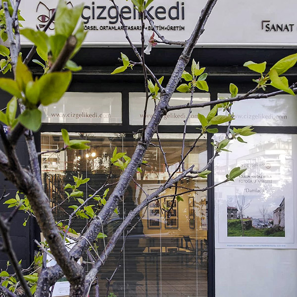 Gunduz saatlerinde cekilmis bir fotograf, cizgelikedi'nin onunde kucuk taze yesil yapraklar cikarmis kayisi fidani goruluyor. Cizgelikedi'nin isiklari yaniyor ve galerideki duvarlarda fotograflar oldugu secilebiliyor.