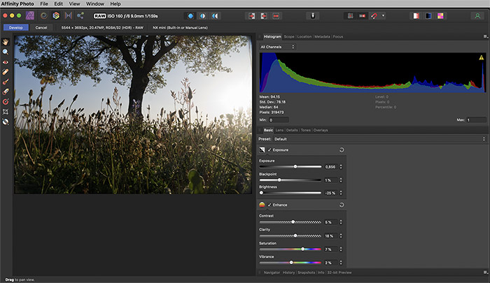 Affinity Photo programının arayüzü ve bir ağaç fotoğrafı: sayısal görüntü işleme